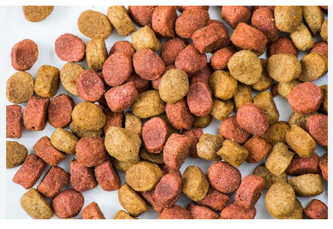 ALIMENTO PARA PERRO ADULTO 10LB.